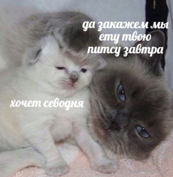 Дегрономикон 6
