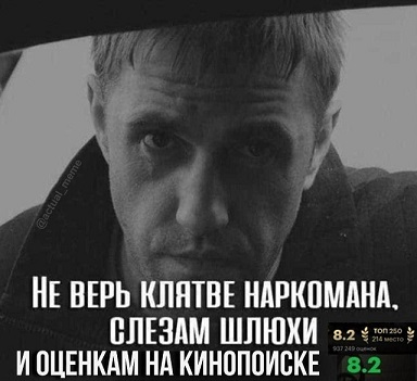 Мой кот