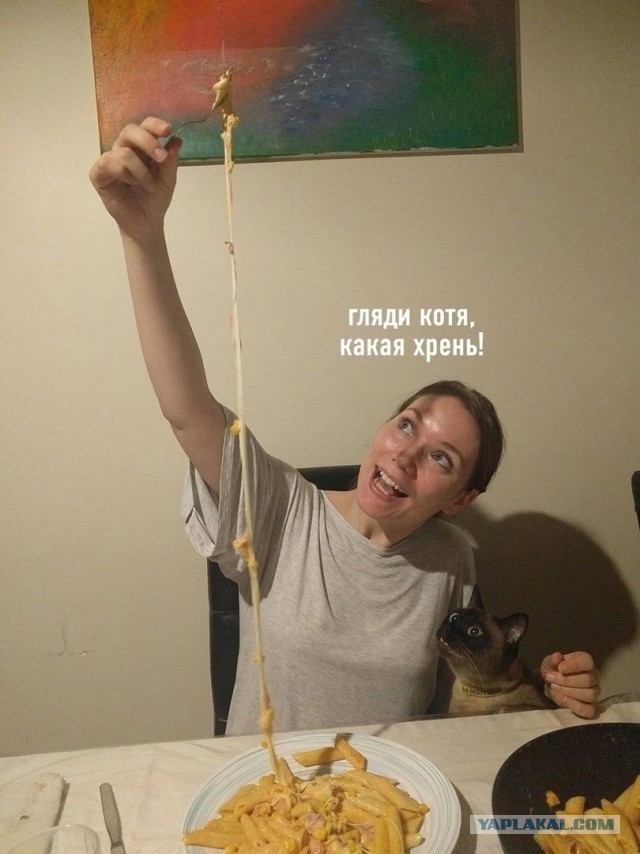 Пассатижи