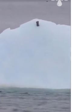Вот и отдохнули