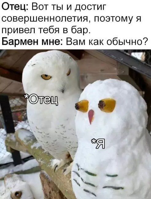 Картиночки, баянчики 19 марта
