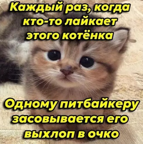 Картиночки, баянчики 19 марта