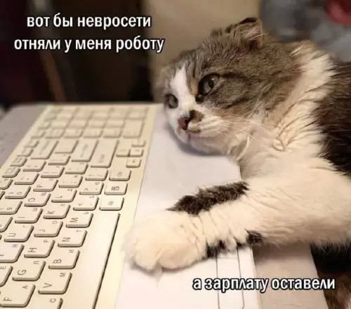 Картинки для деградации 209 (разной степени свежести)