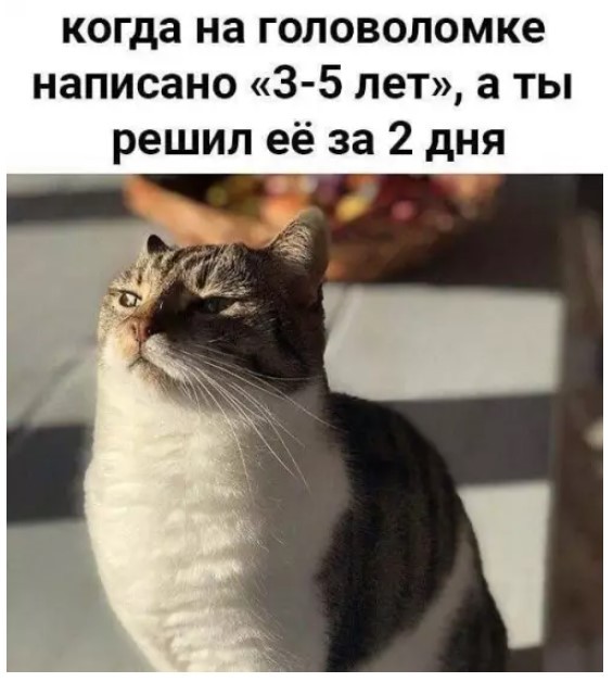 Картиночки, баянчики 14 июня