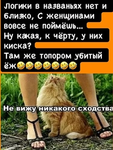 Забавные картинки, шутки из этих ваших интернетов