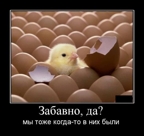 И снова демотиваторы (40 штук)
