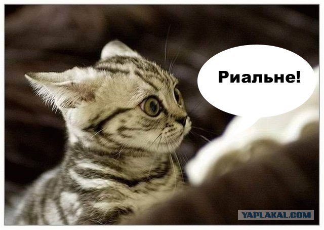 Ограбление банка.