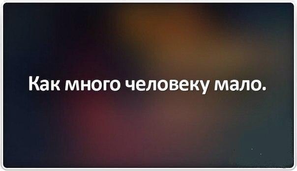 А котик удачно пристроился!