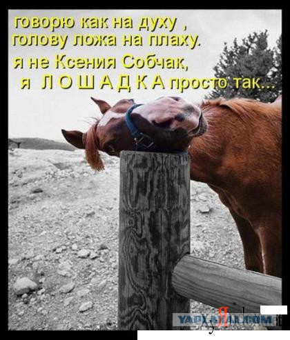 Подборка прикольных фото.
