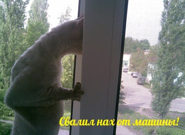 Немного позитива на пятницу
