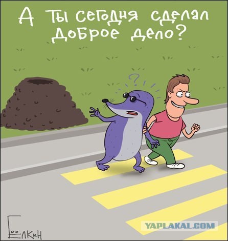 Помог!