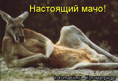 Чёрт, чёрт, чёрт!