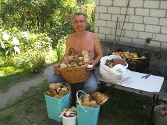 Топ-10 грибов