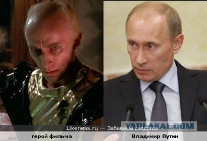 Забавные сходства