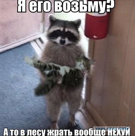 Подборка веселых картинок