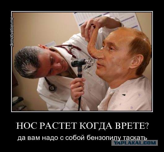 Путин отметит День Рождения в сибирской тайге