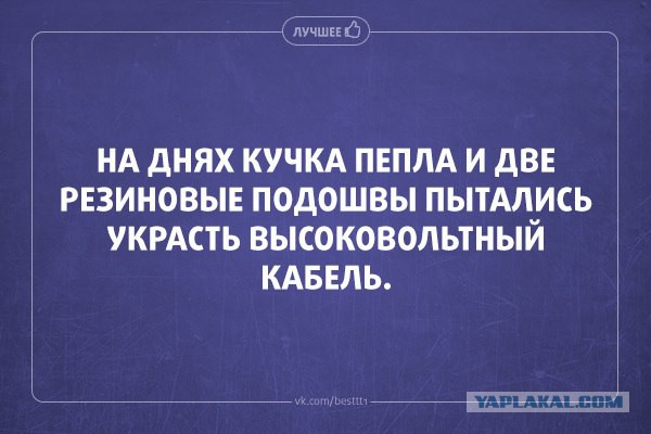 Свежие картинки из сети