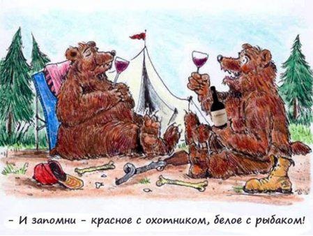 Смешные комментарии из соцсетей, картинки