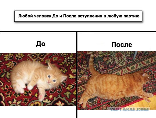 Усредненно о любом кандидате