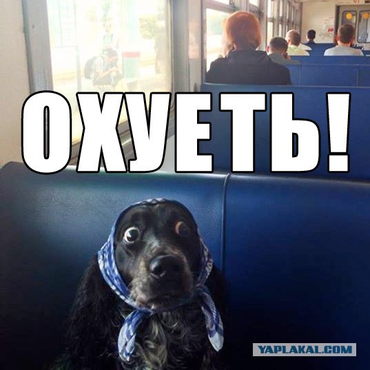Главная тайна 2015го