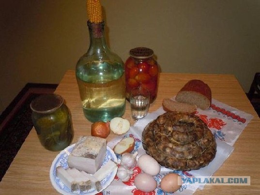 Забавные картинки из Сети