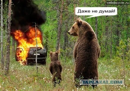 Новая подборка от Мадам Фортуны