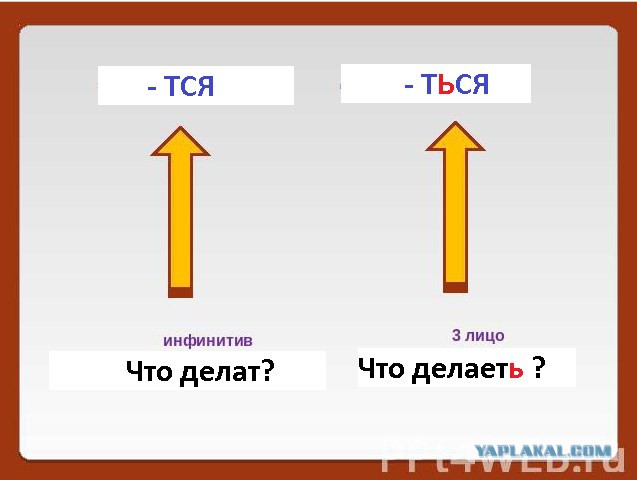 Весь школьный день в углу