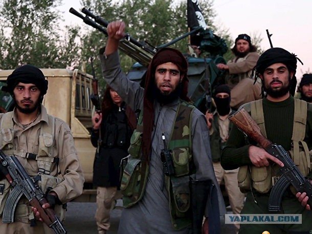 Брюссель стал похож на военную базу