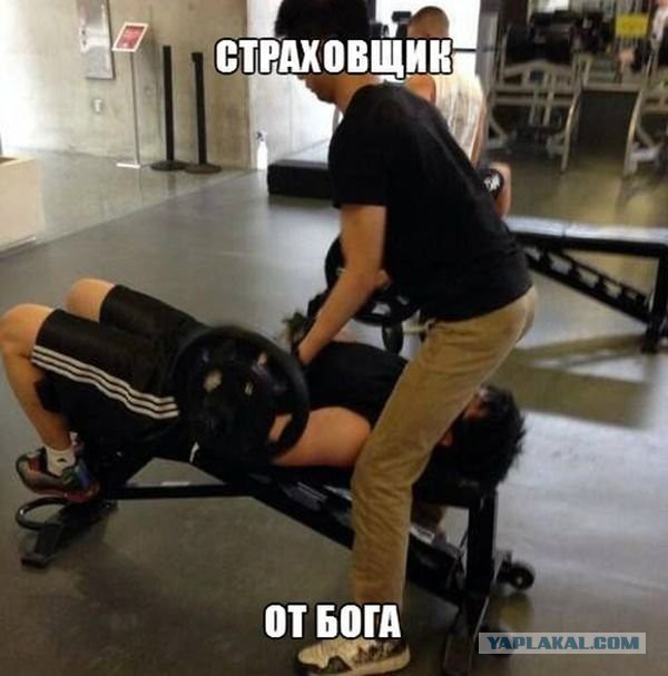 Приколы из сети