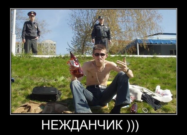 Немного картинок