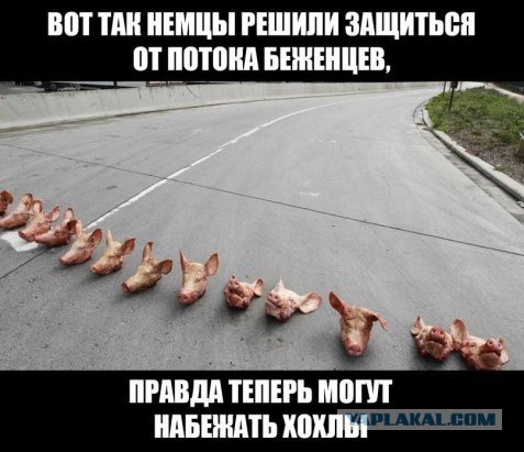 Украина может стать лидером в Европе благодаря своему интеллекту