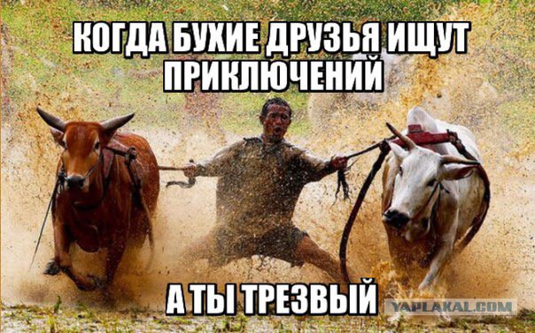 Смешные картинки