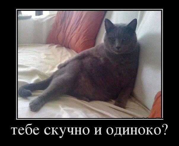Анекдоты