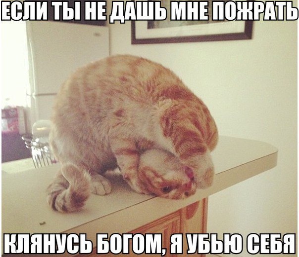 Мохнатые беспредельщики