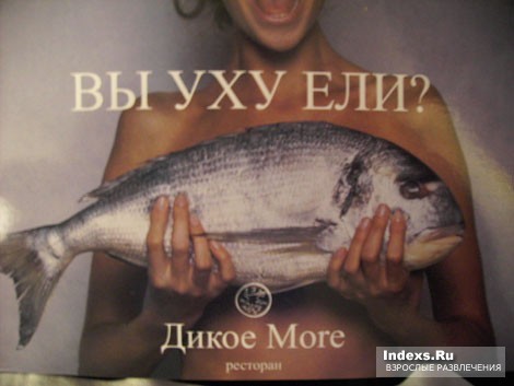 Вы Уху Ели? Растяжка в городе