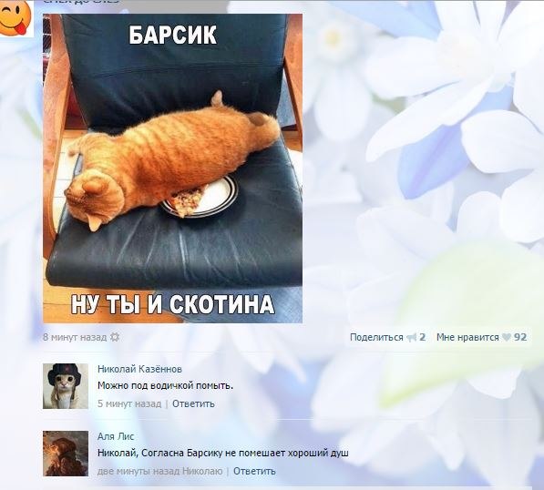 Ужасы и приколы из соцсетей 18+