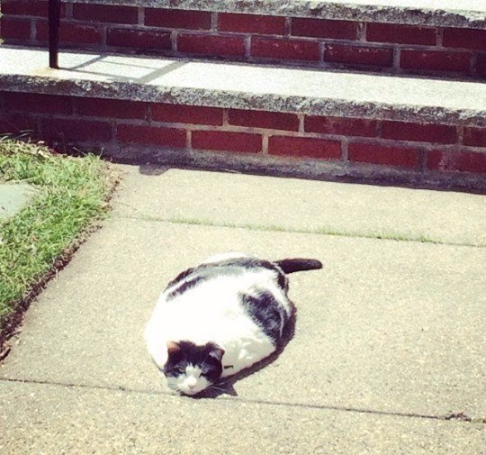 Подборка интересных и веселых фото