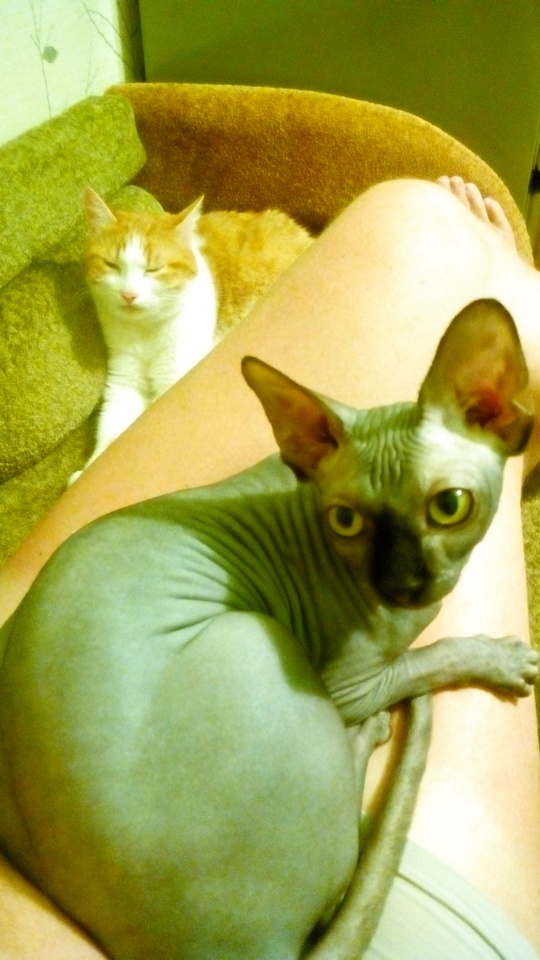 Жизнь как она есть 2