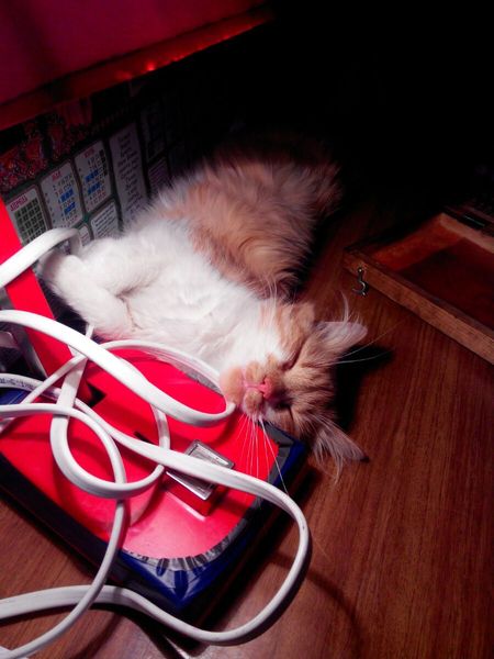 Никогда не берите на таможне чужие вещи!