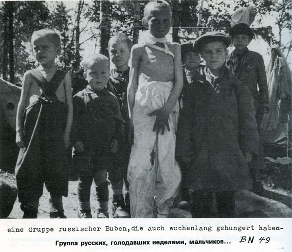 Волховский фронт. 1942. Взгляд с той стороны.