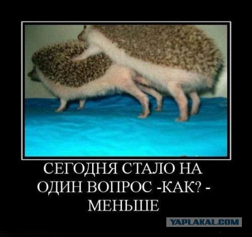 Подборка древних демотиваторов и картинок
