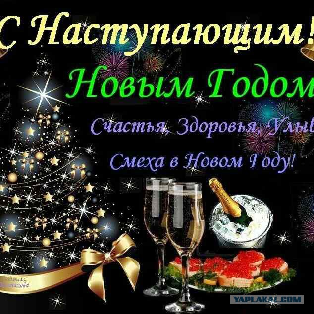 Беседка ФиС ЯПа