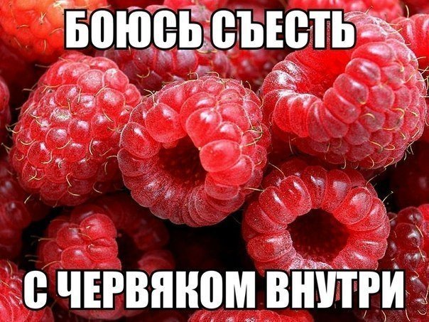 8 блюд, сделанных из сырого мяса