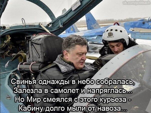Порошенко совершил полет на истребителе МиГ-29