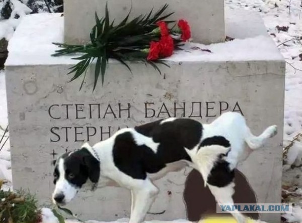 В Киеве открыли памятник воинам АТО, но....