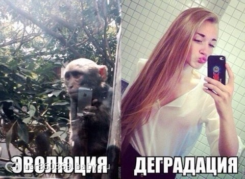 Журнал деградант