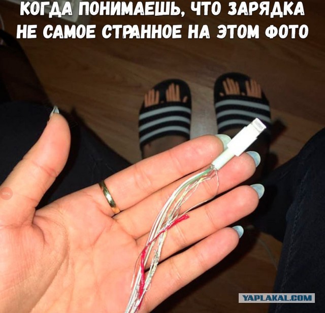 Забавные шутки, фразы и комментарии из этих ваших интернетов