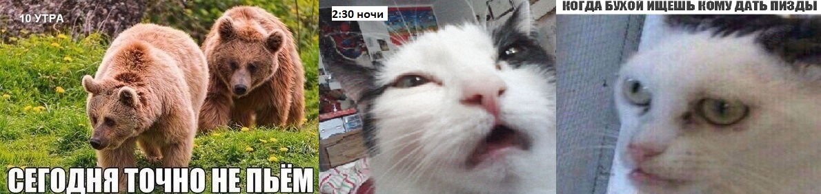 Батя с котом мем