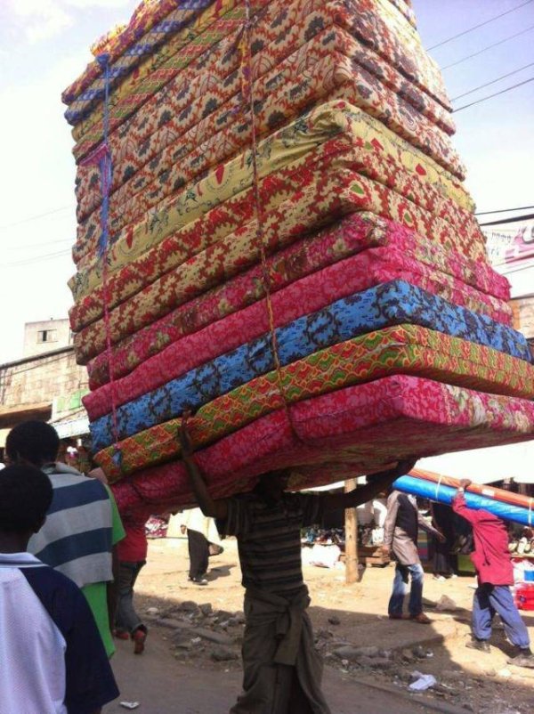 Немного фото для поднятия настроения