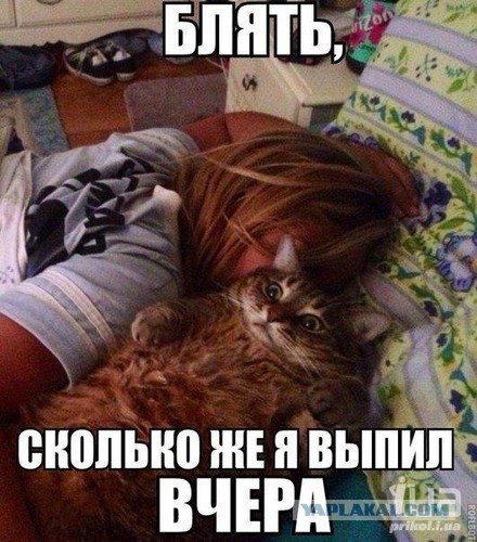 Лицо феминизма. Пятница, 12+
